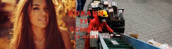 ГАЛЛЮЦИНОГЕННЫЕ ГРИБЫ Павловск