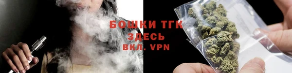 ГАЛЛЮЦИНОГЕННЫЕ ГРИБЫ Корсаков