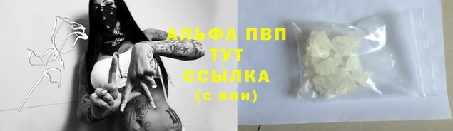ГАЛЛЮЦИНОГЕННЫЕ ГРИБЫ Корсаков