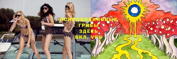 гидропоника Коряжма