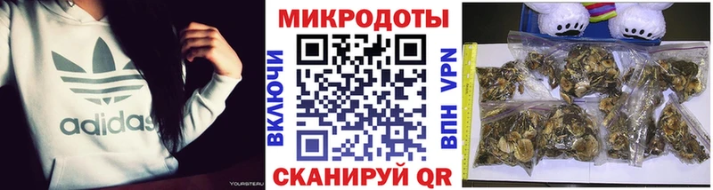 Галлюциногенные грибы GOLDEN TEACHER  продажа наркотиков  Суздаль 