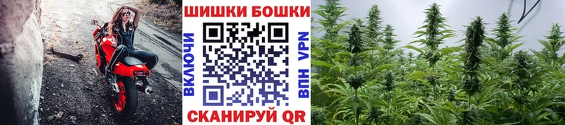 Марихуана White Widow  Суздаль 